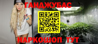 индика Нальчик