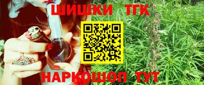 индика Нальчик