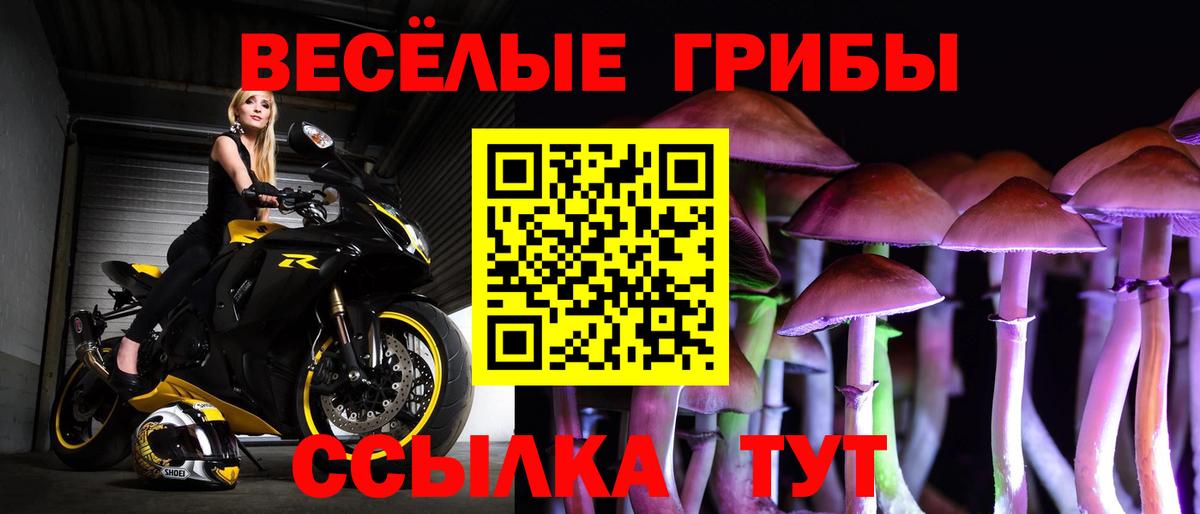 Галлюциногенные грибы Cubensis Дальнереченск