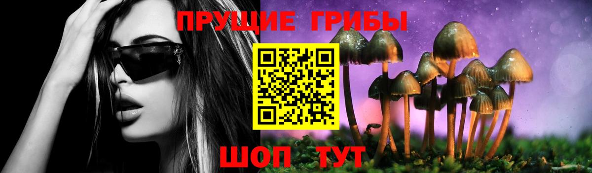 Псилоцибиновые грибы GOLDEN TEACHER  Псилоцибиновые грибы Psilocybine cubensis  Вход с VPN  Дальнереченск 